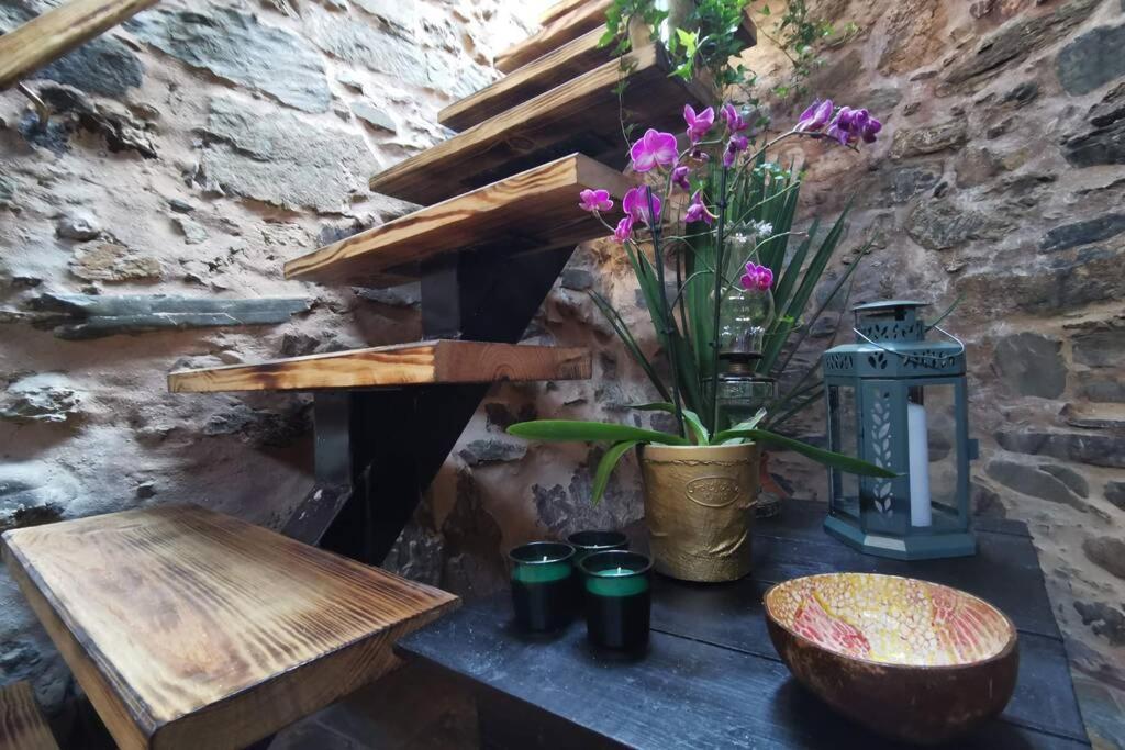 Casa Do Linho 400 Year Old Country Cottage Oleiros  Exterior photo
