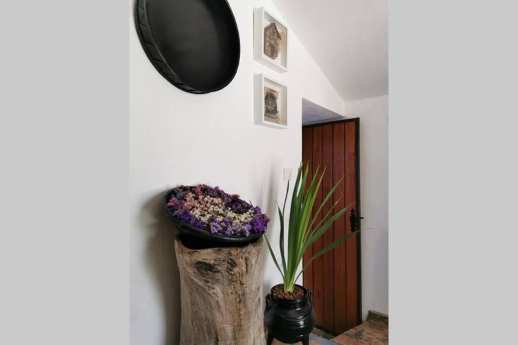 Casa Do Linho 400 Year Old Country Cottage Oleiros  Exterior photo
